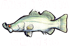 barramundi fishing charter Townsville