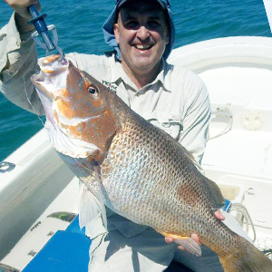 Magnetic Island Fishing Charters