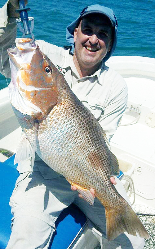 Townsville reef fishing Charters