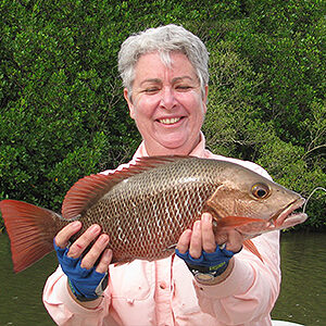 Mangrove Jack Laddies day fishing Haughton river Townsville