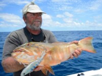 Fishing Townsville Coral Trout