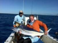 Billfish Townsville charters