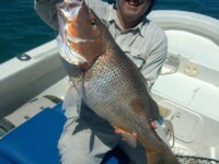 Fingermark fishing townsville