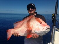 Reef Fishing Townsville