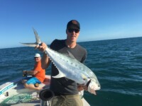 Quuenfish Townsville fishing Guide